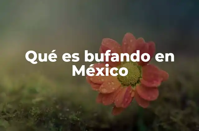 Qué es Bufando en México