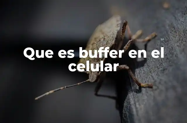 Que es Buffer en el Celular