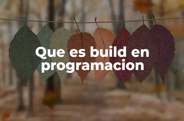 Que es Build en Programacion