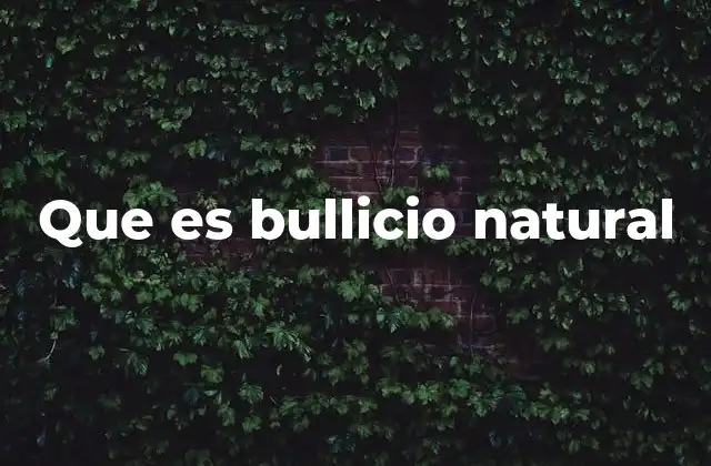 Que es Bullicio Natural