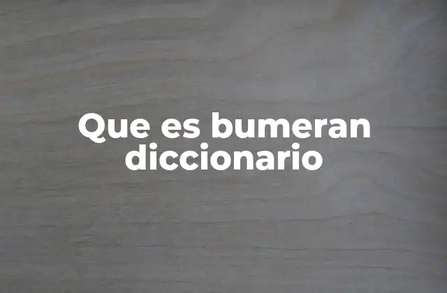 Que es Bumeran Diccionario