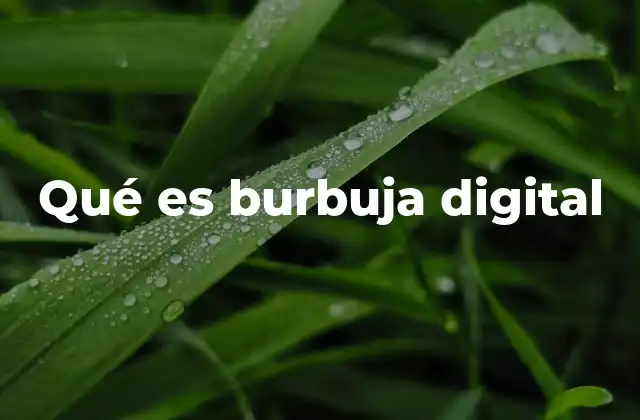Qué es Burbuja Digital