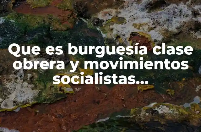 Que es Burguesía Clase Obrera y Movimientos Socialistas Antecedentes