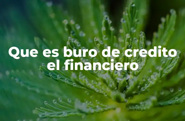 Que es Buro de Credito el Financiero
