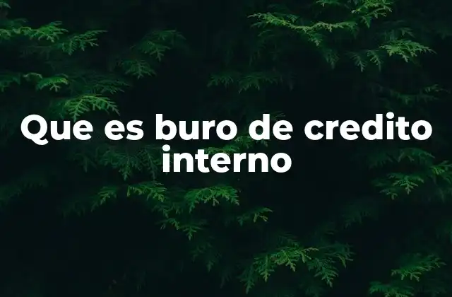 Que es Buro de Credito Interno