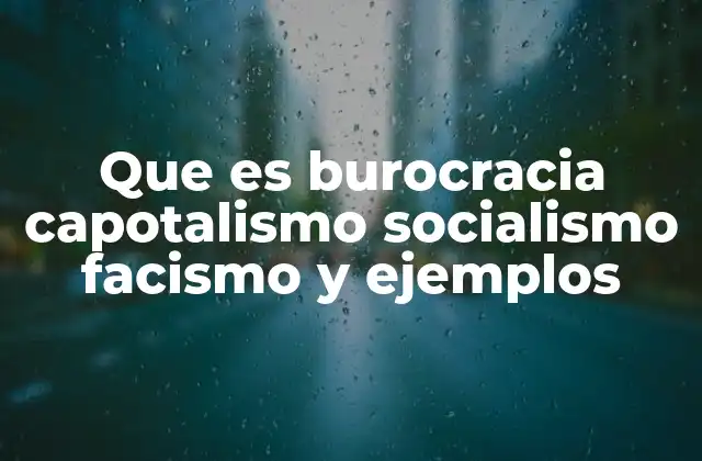 Que es Burocracia Capotalismo Socialismo Facismo y Ejemplos