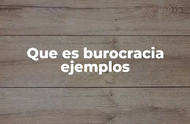 Que es Burocracia Ejemplos