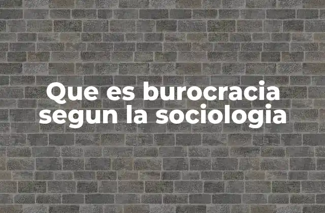 La burocracia como una forma de organización social