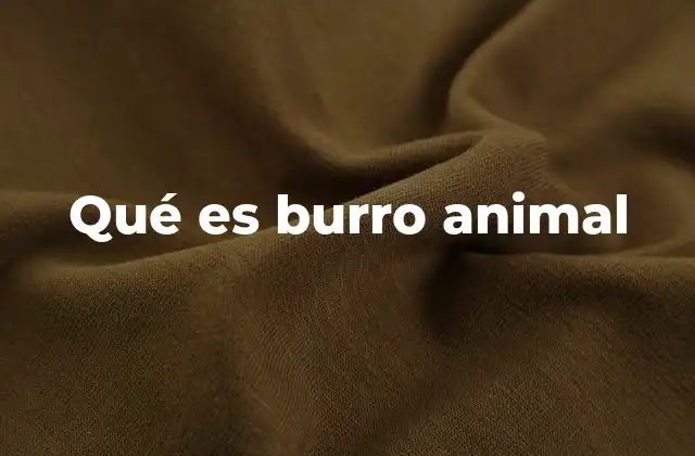 Qué es Burro Animal 2 Características físicas y comportamiento del burro