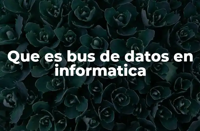Que es Bus de Datos en Informatica