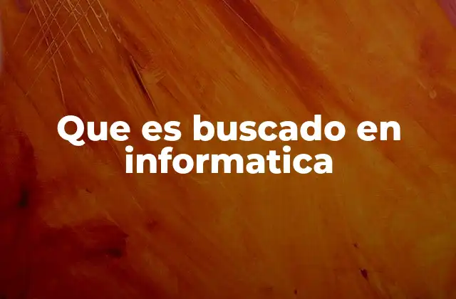 Que es Buscado en Informatica