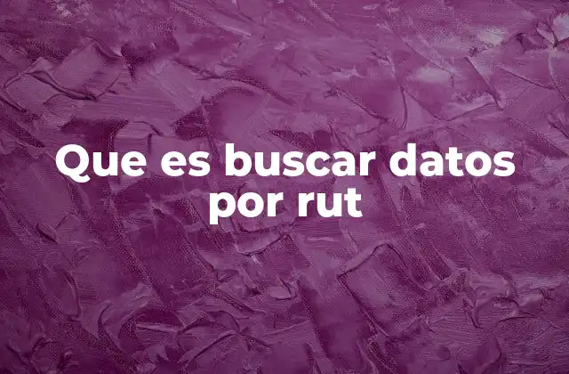 Que es Buscar Datos por Rut