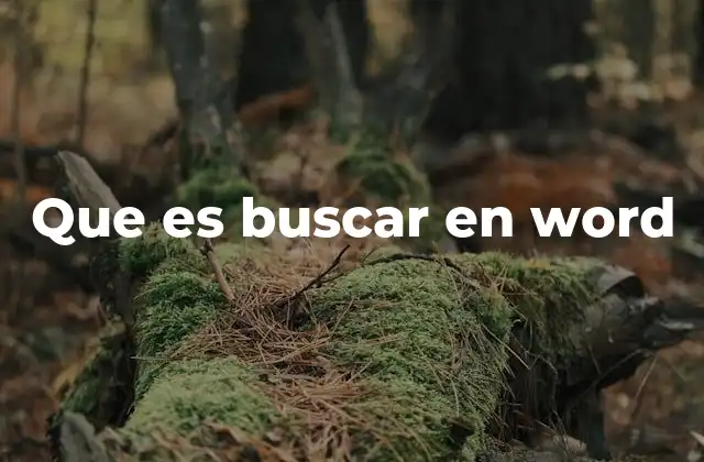 Que es Buscar en Word