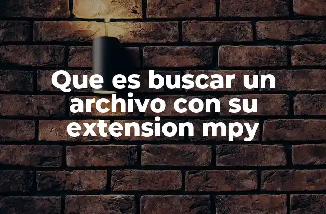 Que es Buscar un Archivo con Su Extension Mpy