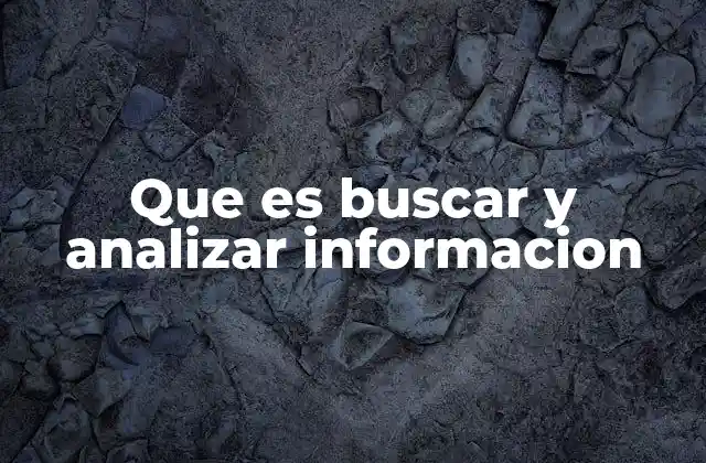 Que es Buscar y Analizar Informacion