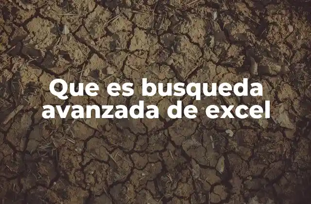 Que es Busqueda Avanzada de Excel