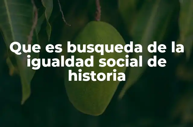 Que es Busqueda de la Igualdad Social de Historia