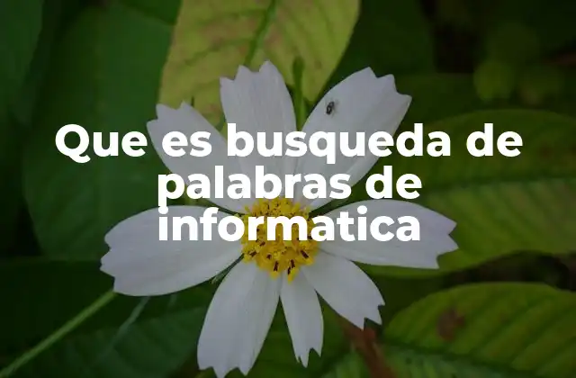 Que es Busqueda de Palabras de Informatica