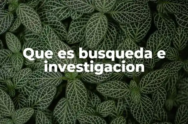 Que es Busqueda e Investigacion