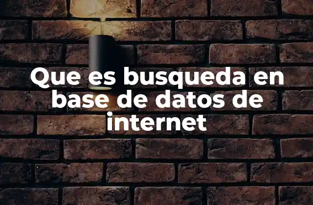 Que es Busqueda en Base de Datos de Internet 2 Cómo funciona el acceso a información mediante bases de datos en internet