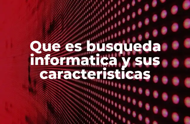 Que es Busqueda Informatica y Sus Caracteristicas
