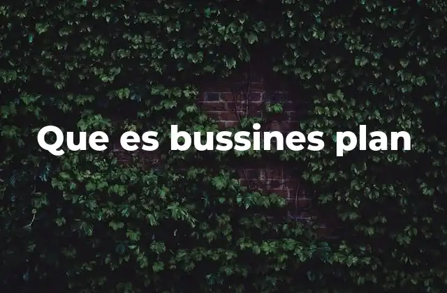 Que es Bussines Plan