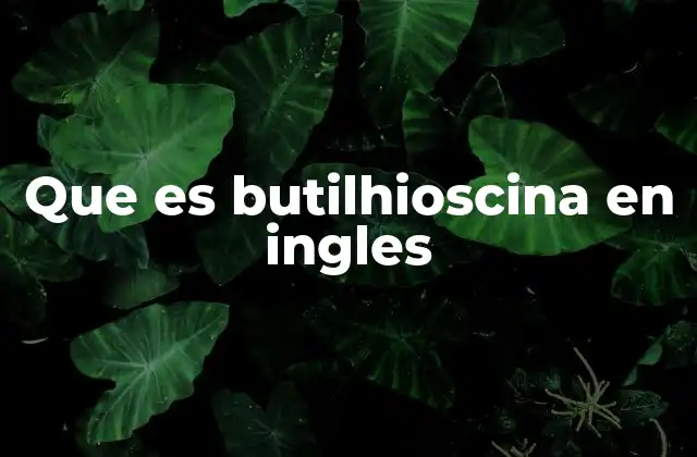 Que es Butilhioscina en Ingles