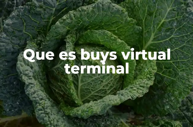 Que es Buys Virtual Terminal