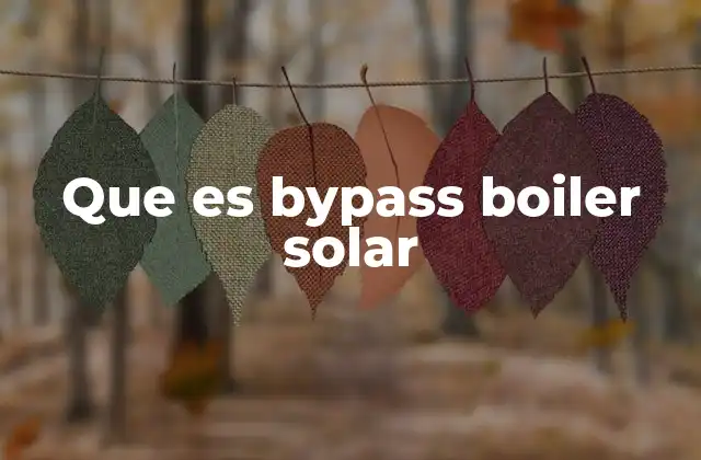 Que es Bypass Boiler Solar