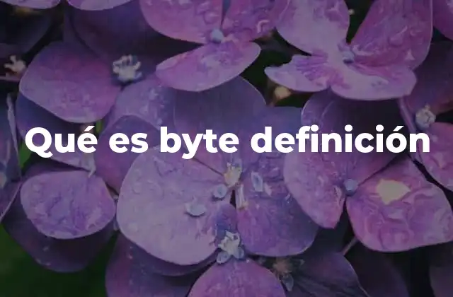 Qué es Byte Definición