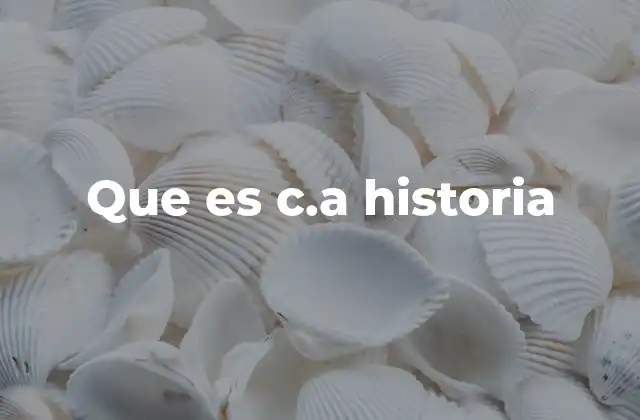 Que es C.a Historia