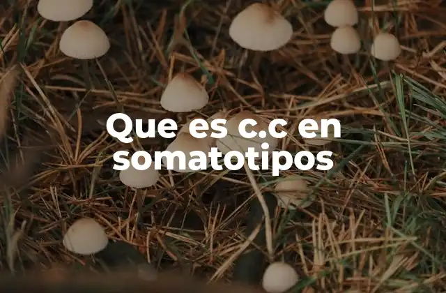 Que es C.c en Somatotipos