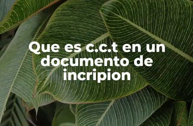 Que es C.c.t en un Documento de Incripion