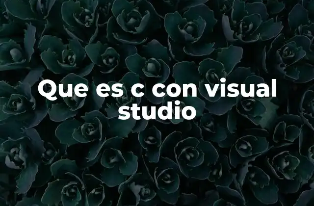 Cómo funciona el entorno de Visual Studio con C