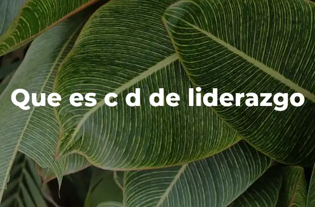 Que es C D de Liderazgo