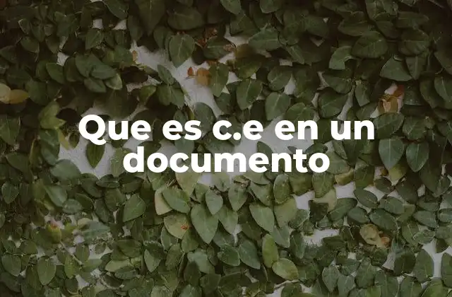 Que es C.e en un Documento