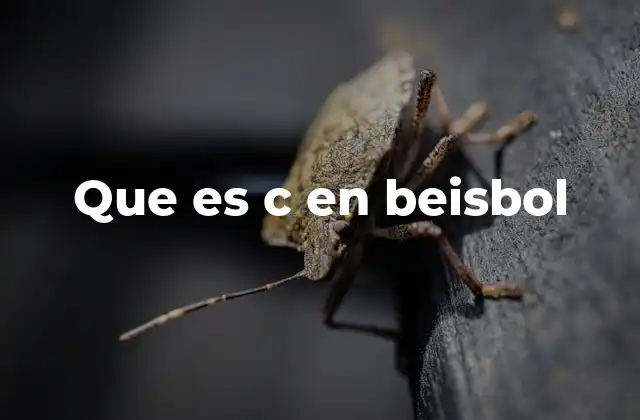 La importancia del cátcher en el esquema del equipo