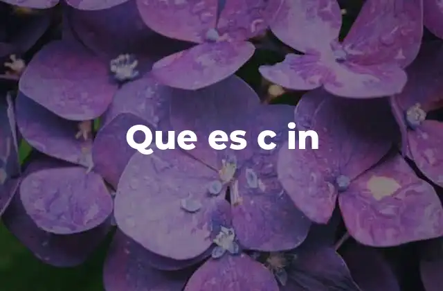 Que es C In