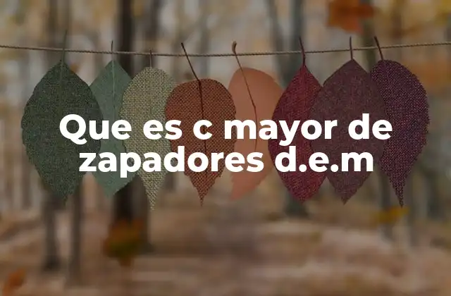 Que es C Mayor de Zapadores D.e.m