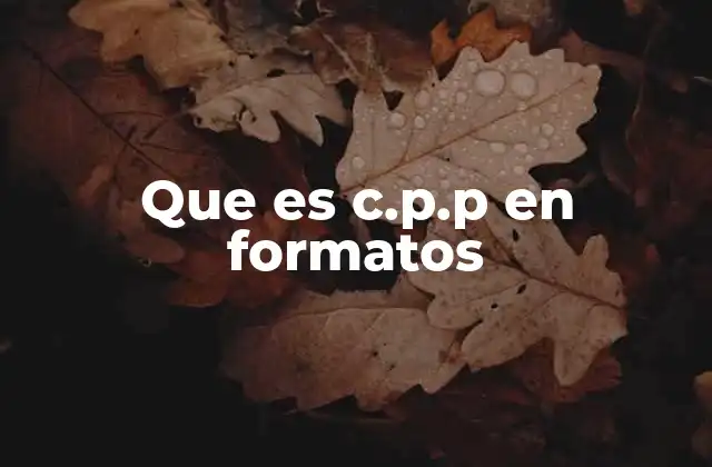 Que es C.p.p en Formatos