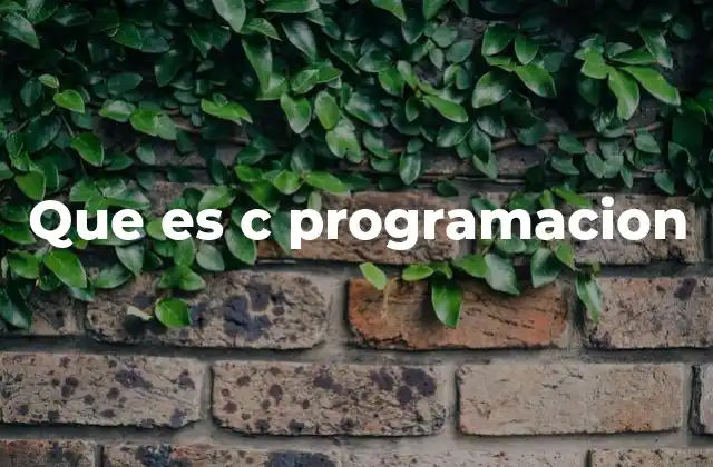 Que es C Programacion