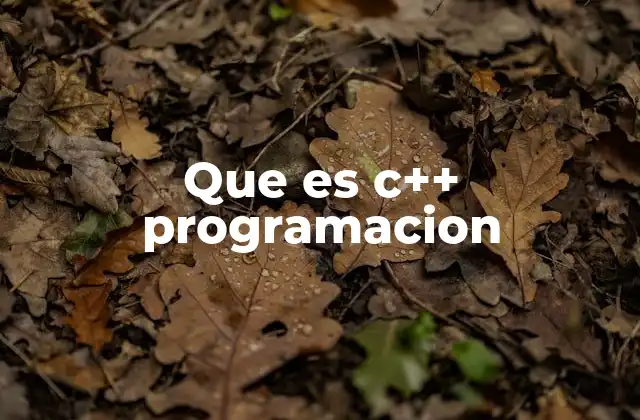 Que es C++ Programacion