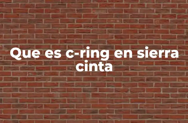 Que es C-ring en Sierra Cinta