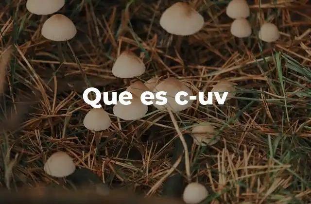 Que es C-uv