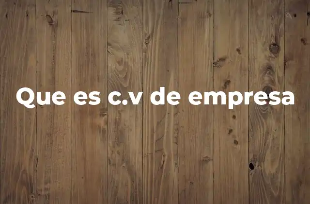 Que es C.v de Empresa