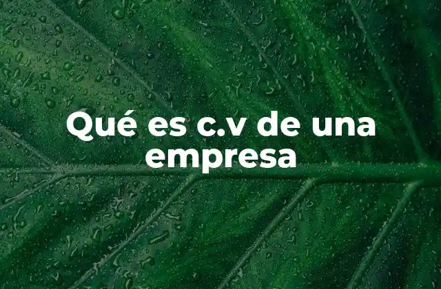 Qué es C.v de una Empresa