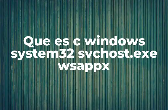 Que es C Windows System32 Svchost.exe Wsappx