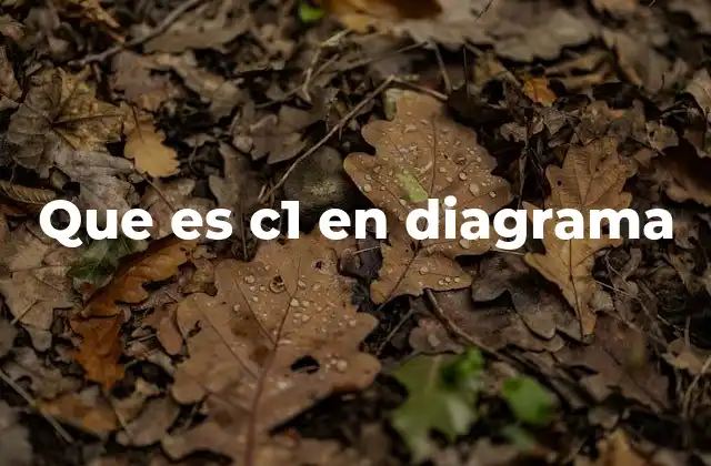 Que es C1 en Diagrama