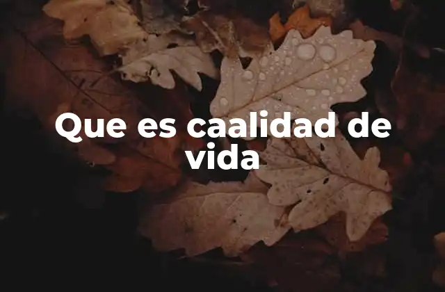 Que es Caalidad de Vida