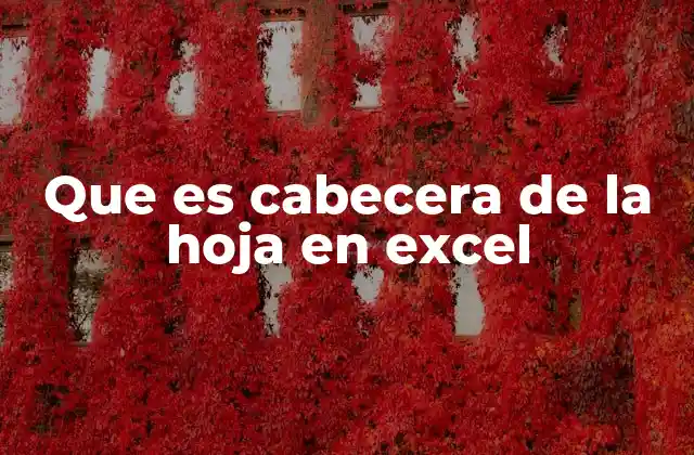 Que es Cabecera de la Hoja en Excel 2 La importancia de las etiquetas en la organización de datos